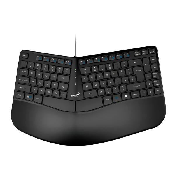 TECLADO GENIUS KB-700